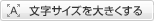 �����T�C�Y��傫������