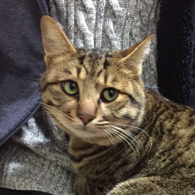 写真: 河野 雄也