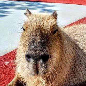 写真: 眞﨑 雄一朗